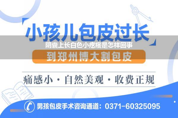 阴囊上长白色小疙瘩是怎样回事